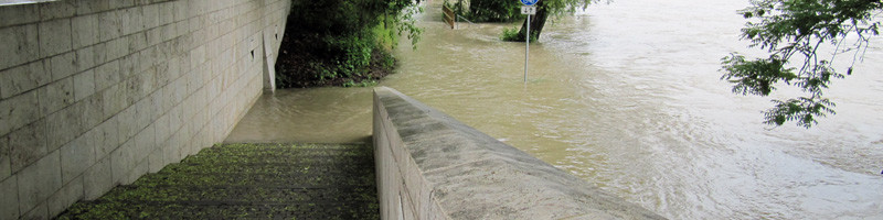 Hochwasser Donau Ingolstadt Juni 2013 - 3