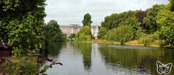 St James's Park 2015