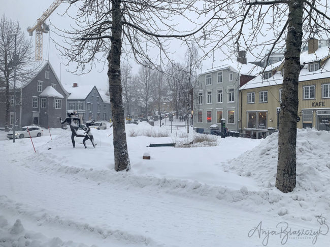 Schneetag in Tromsø Tromsø