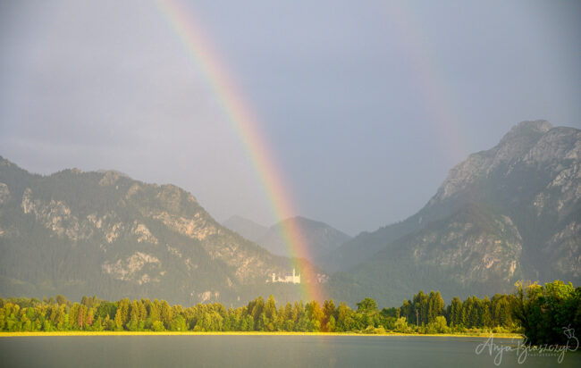 Regenbogen über Schloss Neuschwanstein Regenbogen über Schloss Neuschwanstein